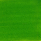 COLOREX 45ML SPRING GREEN - Watercolor paint (ink)