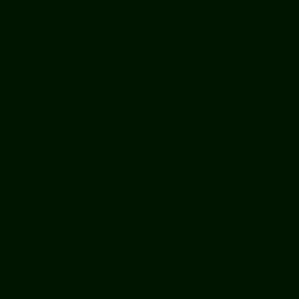 კერამიკის საღებავი ფოთლისმწვანე 45 მლ - CERAMIC 45 ML LEAF GREEN