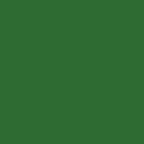 კერამიკის საღებავი მწვანე 45 მლ - CERAMIC 45 ML GREEN