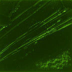 ზეთის საღებავი 200მლ XL FINE OIL 200 ML EARTH GREEN (Pebeo)