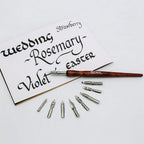 კალიგრაფიის კალამი (პერო კალამი) - MontMarte Calligraphy Dip Pen Set - 9 Nib