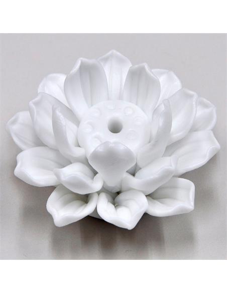 SIO 2 Lotus